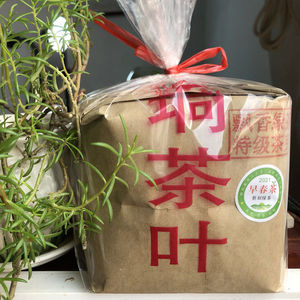 广东高州特产新垌茶叶2021早春茶雨明前绿茶特级茶芽炒青茶250克