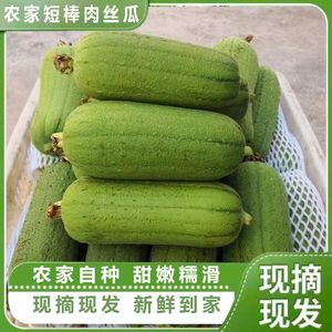 台湾香丝瓜