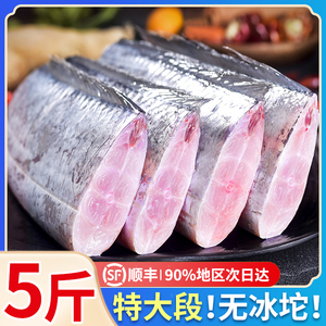 带鱼新鲜中段冷冻鲜活东海带鱼段500g*5袋雷达网刀鱼海鱼海鲜水产