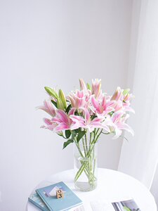 2222s国产索邦粉色c百合鲜花上海直发淡香水家用插花顺丰鲜切花a.