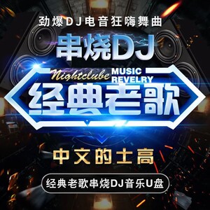 【经典老歌串烧dj】车载u盘无损高品质歌曲怀旧金曲夜店流行劲爆d