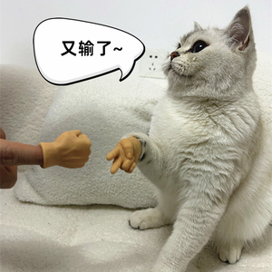猫咪手套搞笑整蛊手指套弹力小手英短逗猫剪刀石头布比耶互动玩具