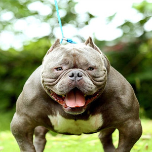 【卡证定制】卡证定制品牌,价格 - 阿里巴巴