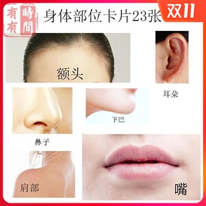 身体部位教具婴儿学习卡片早教n启蒙婴幼儿识图五官认知卡片认