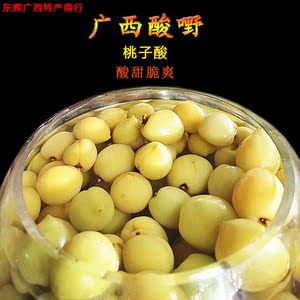 广西特产酸桃子