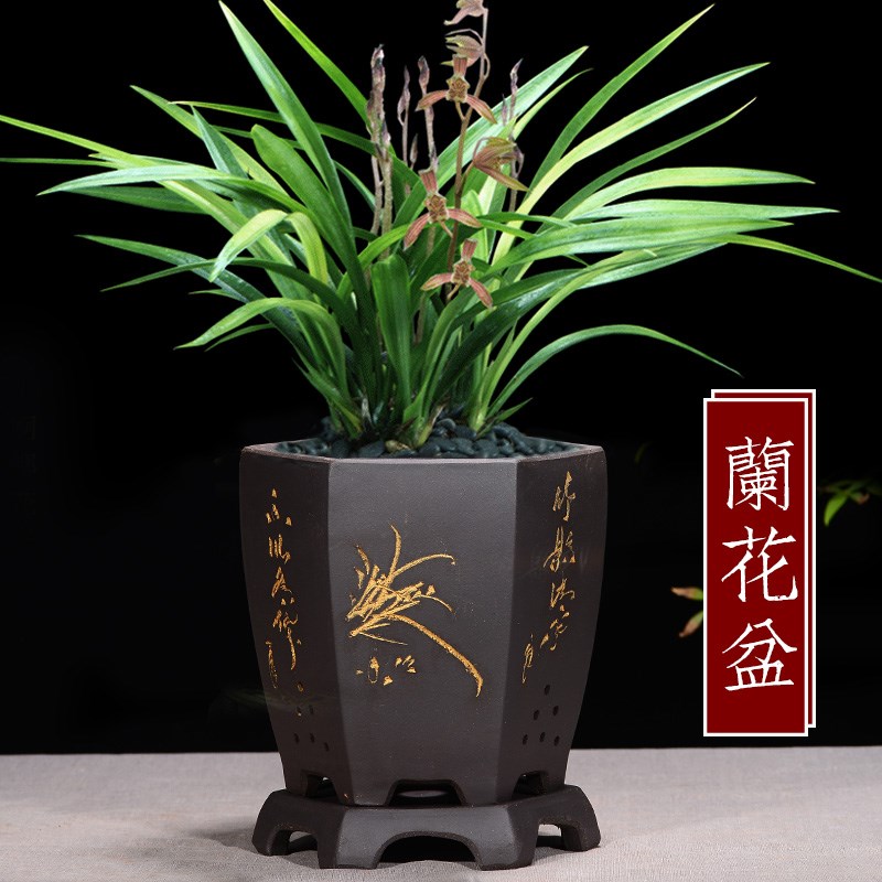 【10桩个大号】多肉老oom群天景花盆控根黑色加厚大径方盆口韩0人付款