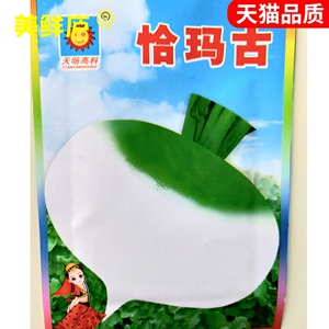 布留克圆蔓菁种孑芜菁四季土苤蓝卜留克种籽恰玛古春播蔬菜种子