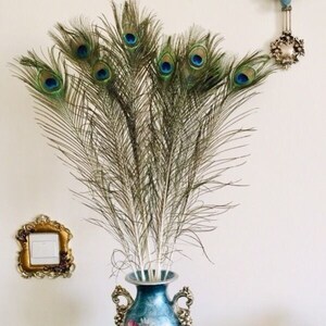 孔雀翎毛羽毛插花花瓶