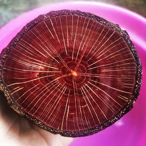 青岗木稳定化木 稳定木 木料 雕刻练手料 边角料 木材木板