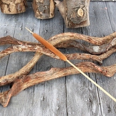 蒲棒干花芦苇香蒲干花瓣diy会所黄菖蒲蒲葵饰品网红造型树花艺.