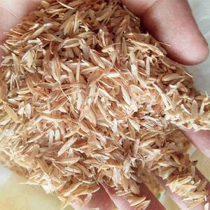 新鲜稻谷皮营养土鸽子谷糠稻壳谷子猪饲料散装枕芯酿酒鸡鸭稻子