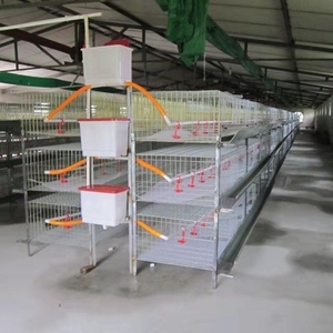 三层立体式肉鸡笼肉鸡笼养殖专用笼 自动清粪肉鸡笼 肉鸡养殖设备