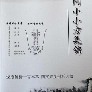 空间小小方集锦整体舌诊用药凹凸 一言本草图文彩色大图 送视频