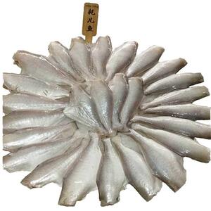 扒皮鱼剥皮鱼酒店食材火锅烧烤中餐干锅马面鱼耗儿鱼贝特角商贸