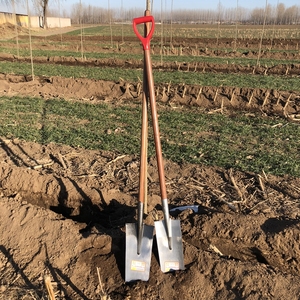 挖山药专用铲工具起树神器挖树专用铁锹挖树铲锹挖树苗专业起树铲