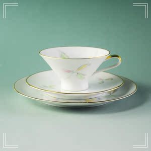 狮牌水彩画艺术品瓷器手绘茶具老hutschenreuther德国孤品咖啡具