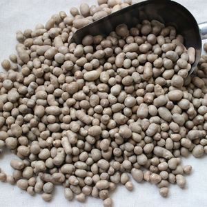 新品种广西桂淮2号淮山种子高产大田专用 白玉山药豆山药种子余子