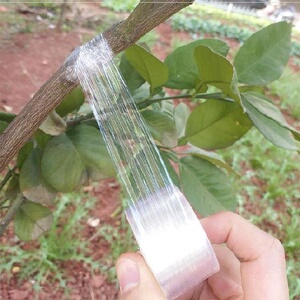 果树嫁接绑扎带