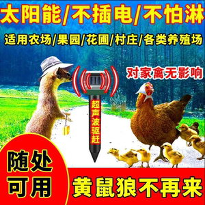 黄鼠狼捕捉器养鸡防黄鼠狼神器家禽鸡舍鸽舍驱赶黄鼠狼神器驱兽药