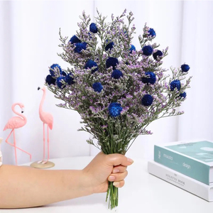 三八节日通用组合招财情人草礼物干花包送m妇女节果员工老师花束