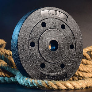 艾美仕环保杠铃片举重配重环保包胶哑铃片5磅10磅15磅20磅10磅杠