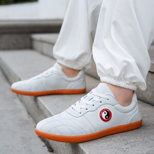 铬安踏雁太极鞋牛筋底男女软牛皮太极拳练功鞋春季男鞋武术运动鞋