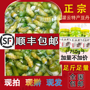 灌云特产新鲜特产现擀豆丹肉食用猪儿虫豆青虫芝麻虫豆单大青昆虫