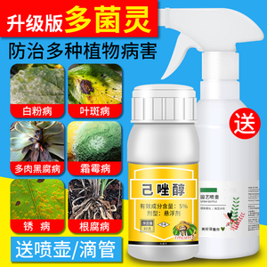 多菌灵杀菌剂发财树烂根黑斑病月季白粉病防根腐病多肉植物专用药