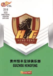 中体卡业 CHNCARD 2018中超联赛官方球星卡 标准版 贵州恒丰