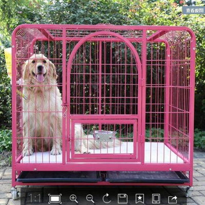狗笼子紫色