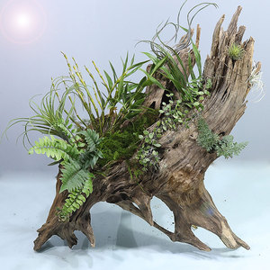 微景观造景大型枯木树根料石斛盆栽插花干花饰盆朽木枯树花盆沉木