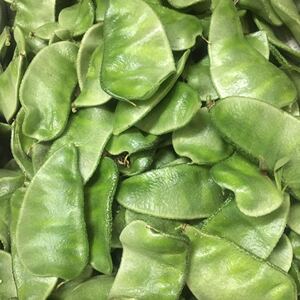 扁豆角新鲜山东猪耳朵扁豆气豆角蛾眉豆眉豆刀豆茶豆角5斤包邮