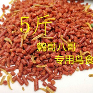 八鸟幼鸟饲料鹩哥八哥鸟饲料大颗粒5斤装乌鸦喜鹊饲料散装海八哥
