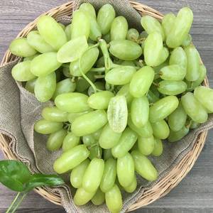 印度进口手指青提2斤装无籽提子脆甜新鲜手指青葡萄水果顺丰空运