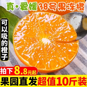 四川爱媛38号果冻橙10斤装大果新鲜橙子时令水果柑橘蜜桔子整箱5