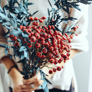 22蔷薇果干花真花风干天然红果招财摆件新年客厅圣诞装饰红豆干q