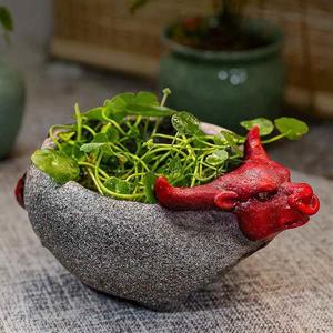 古小猪植物水培花复盆阳gnw台厅创意红牛摆烟灰客缸花器发财猪件