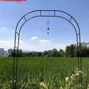 钢管搭葡萄架