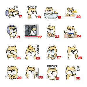 小肥柴周边表情包杯m子定制阿柴搞笑图案马克杯印照片水杯生日礼