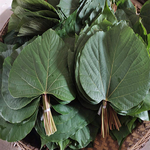 重庆桐子叶粑粑