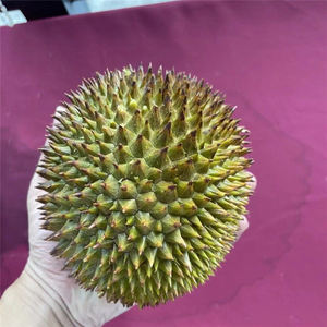 马来西亚d198小金凤榴莲甜糯丝滑