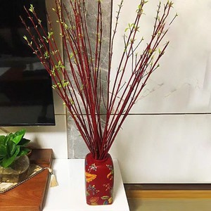 进口红柳苗红瑞木鲜切枝条水培植物年宵花材客厅桌面装饰长花期