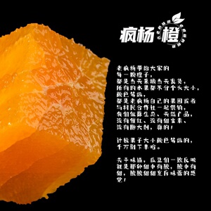 老疯杨生产队老疯杨四川西充老疯杨疯杨橙5斤狗粪橙子
