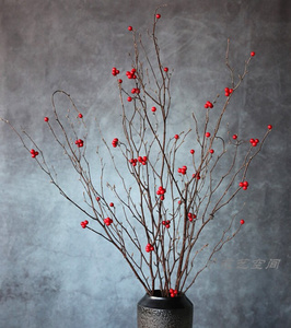 【干花真花红豆】干花真花红豆品牌,价格 - 阿里巴巴