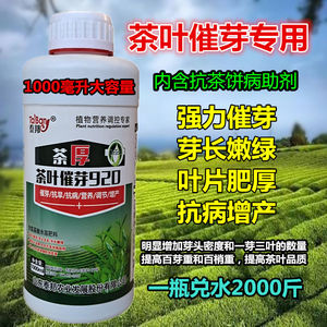 广西油茶专用肥厂图片