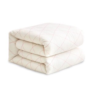 可定制尺寸加大蚕丝被秋冬东北坑头被褥子棉絮棉被芯被子垫保暖i.