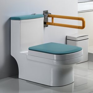 蹲坐两用马桶一体双用蹲坑可蹲可w坐蹲便器坐改蹲家用带扶手坐便