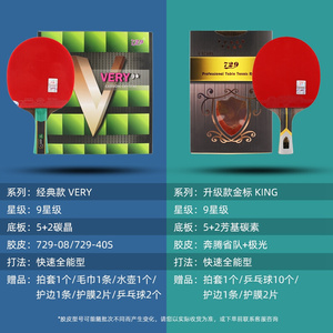 729乒乓球拍九星
