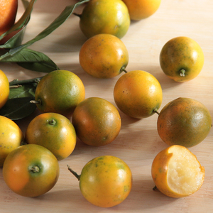 圣甲虫香妃柚礼盒装4只肉嫩多汁新鲜水果大柚子网红柚子1人付款117