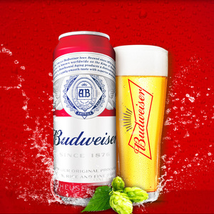 budweiser/百威小麦醇正啤酒550ml*12听 定制款罐装国产